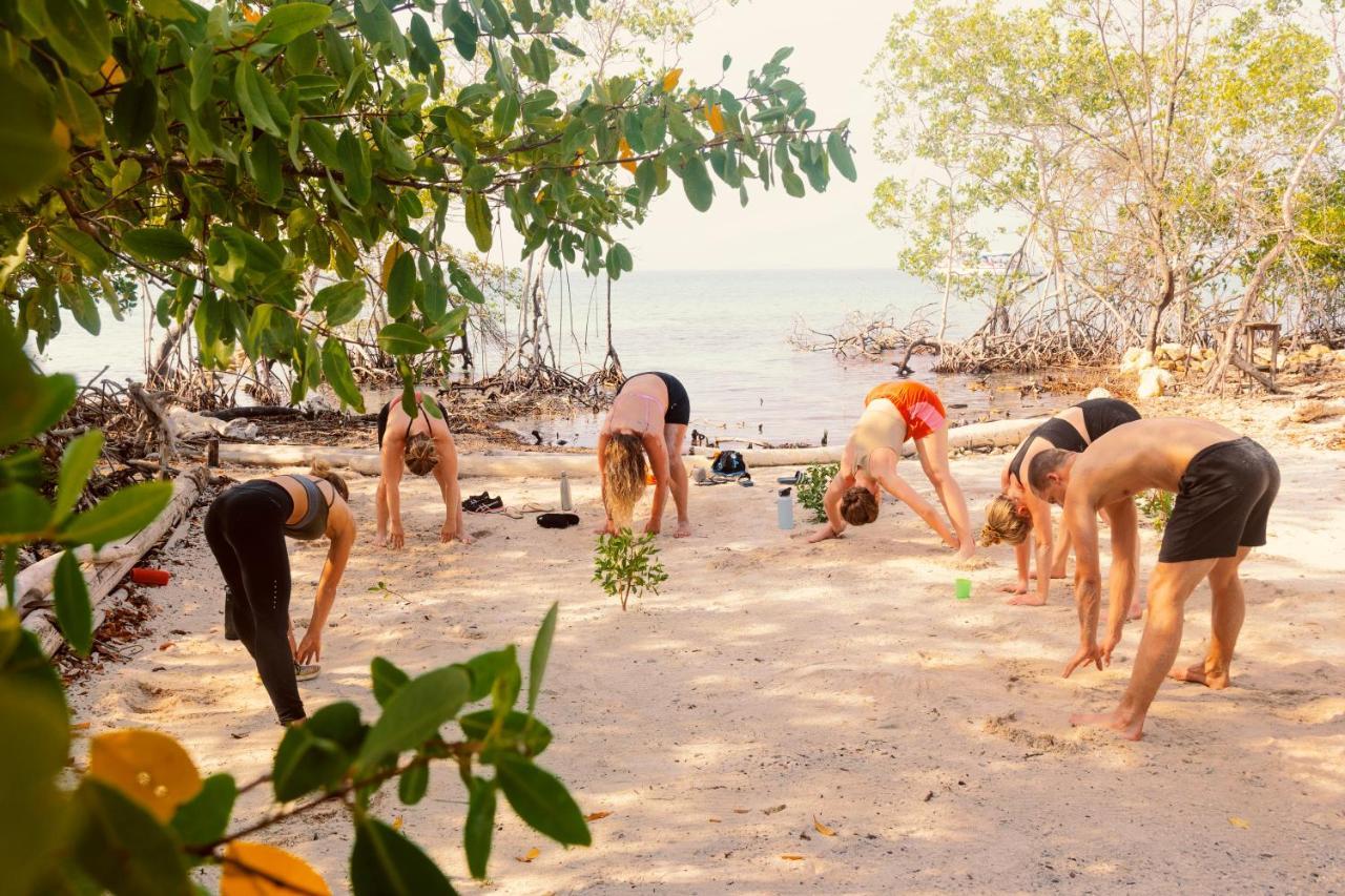 Santa Lova Eco-Hostel Isla Tintipan Tintipan Island Kültér fotó