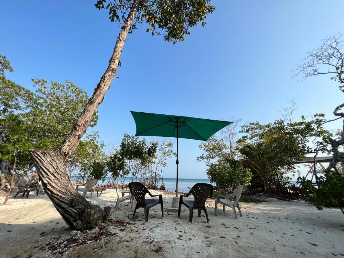 Santa Lova Eco-Hostel Isla Tintipan Tintipan Island Kültér fotó
