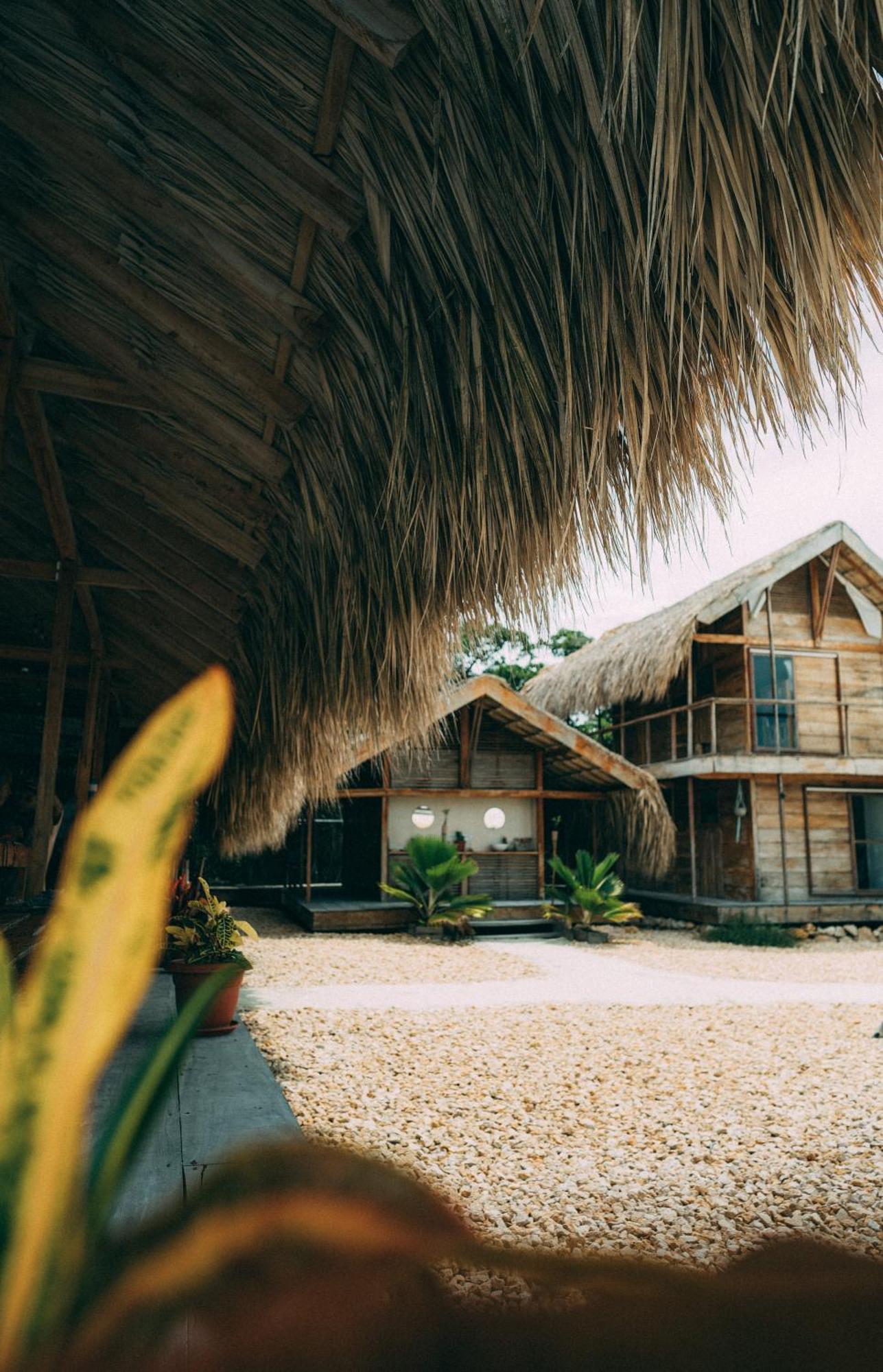 Santa Lova Eco-Hostel Isla Tintipan Tintipan Island Kültér fotó