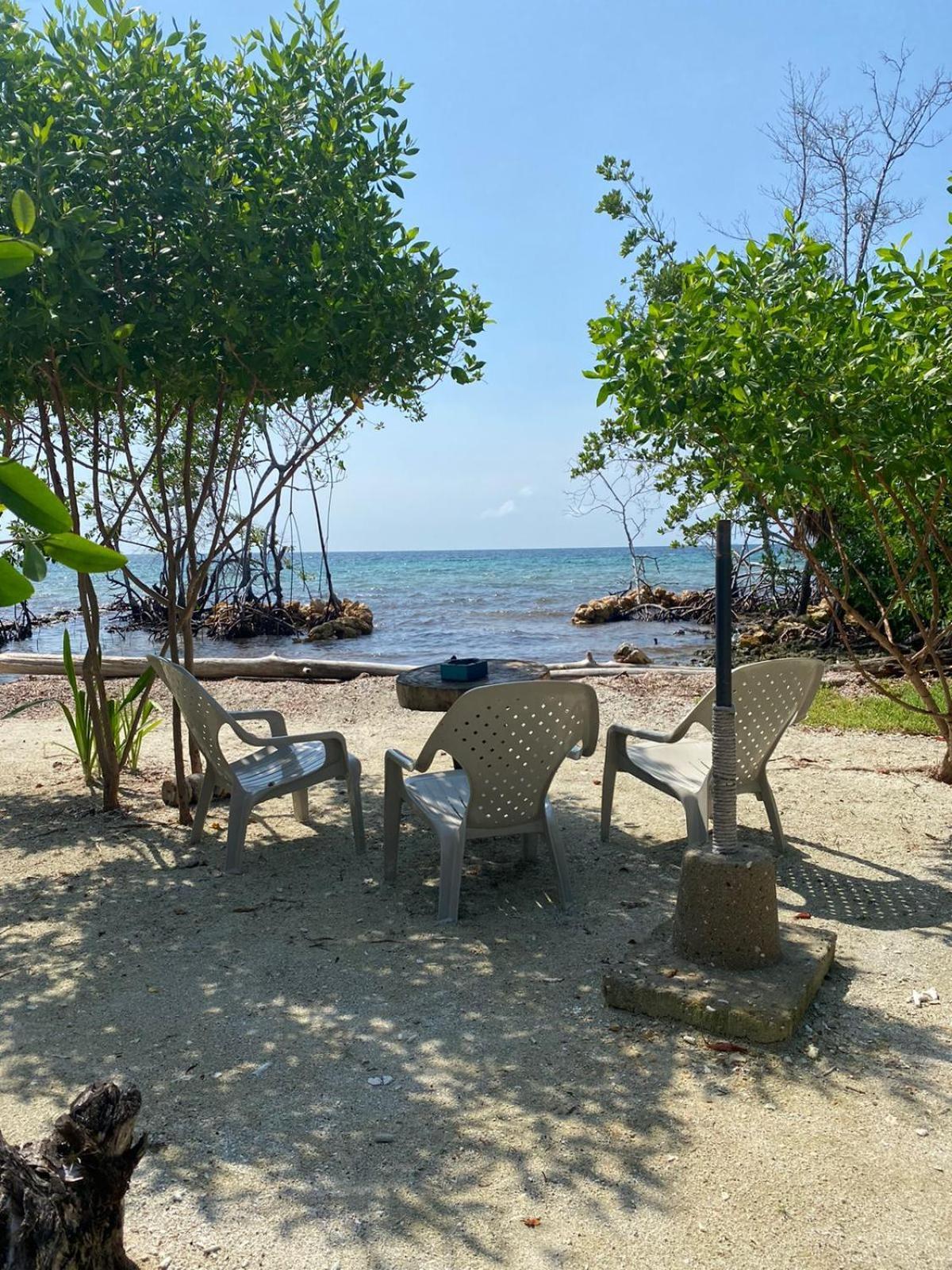 Santa Lova Eco-Hostel Isla Tintipan Tintipan Island Kültér fotó