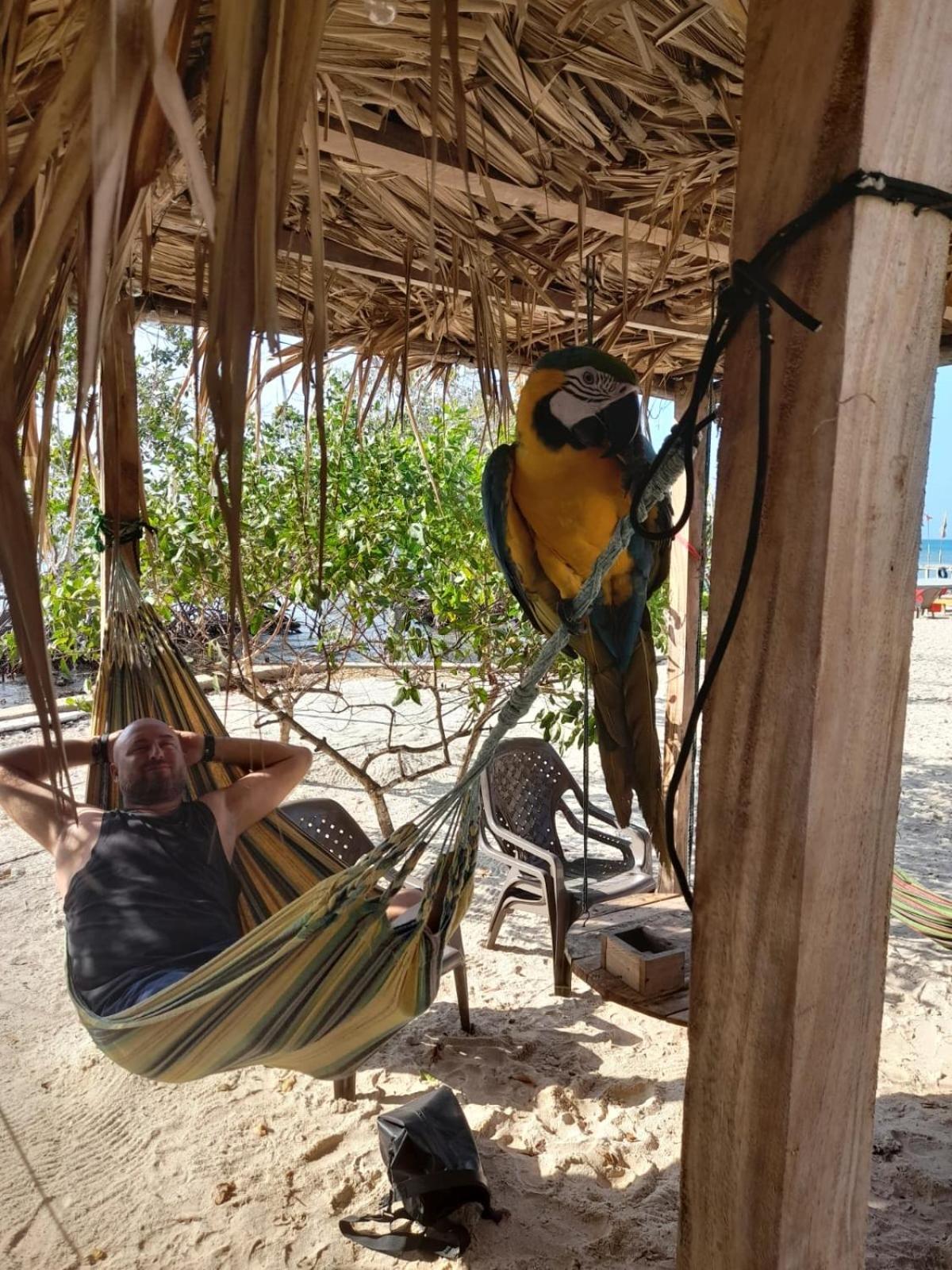 Santa Lova Eco-Hostel Isla Tintipan Tintipan Island Kültér fotó